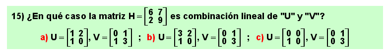 15 Test combinación lineal de matrices