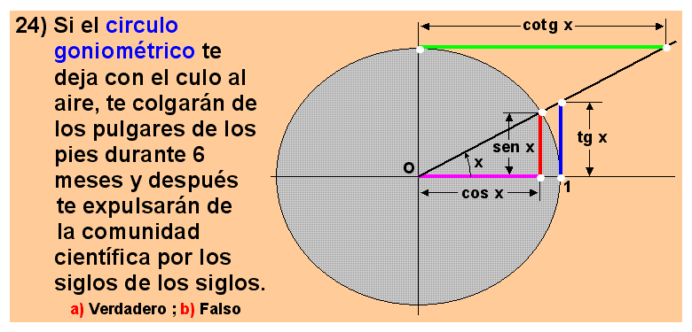 24 Circulo goniométrico. Circunferencia goniométrica
