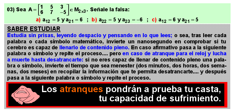 03 Empleo de subíndices para identificar los elementos de una matriz, Álgebra lineal, Matemáticas, Bachillerato, Universidad
