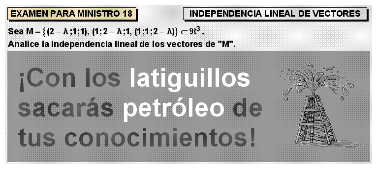 18 INDEPENDENCIA LINEAL