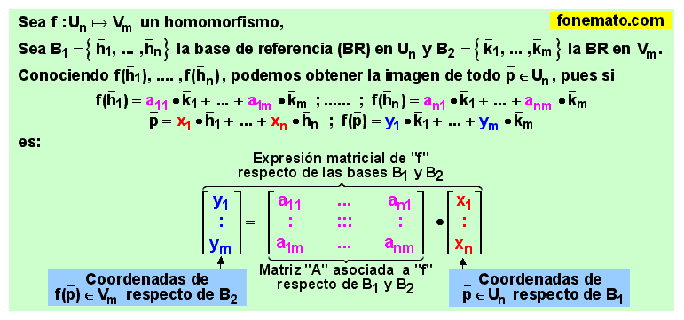 03 Matríz asociada a un homomorfismo
