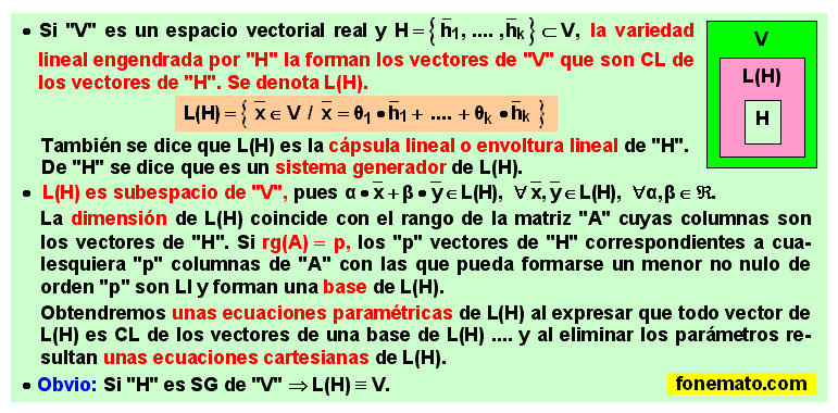 03 Variedad lineal (Cápsula lineal o envoltura lineal)