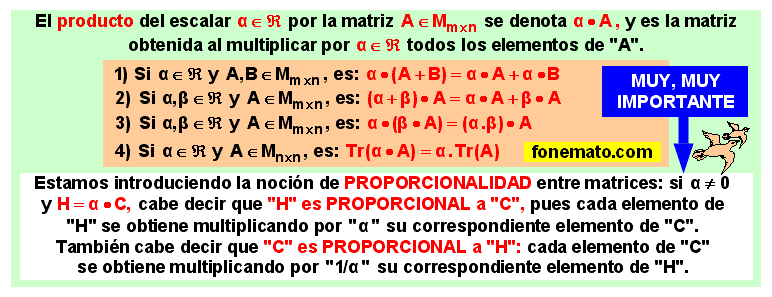 08 Producto de un escalar por una matriz