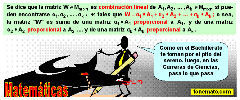 09 Combinación lineal de matrices