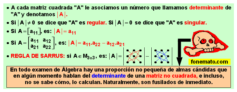 16 Determinante de una matriz cuadrada