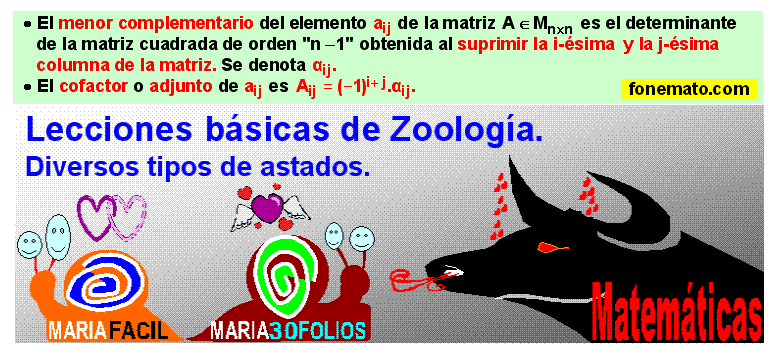 17 Menor complementario. Cofactor o adjunto
