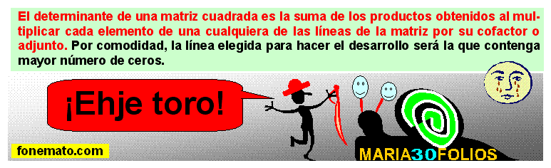 18 Desarrollo de un determinante por los elementos de una línea