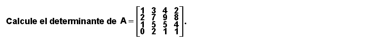 19.01 Ejercicio (Determinante de matriz cuadrada de orden 4)