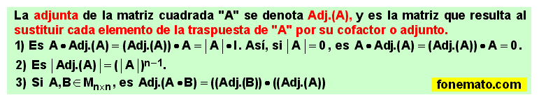 20 Matriz adjunta de una matriz cuadrada