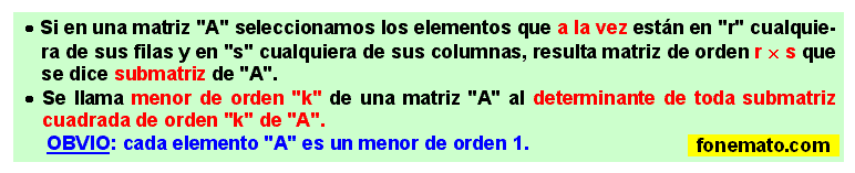22 Submatrices y menores de una matriz 
