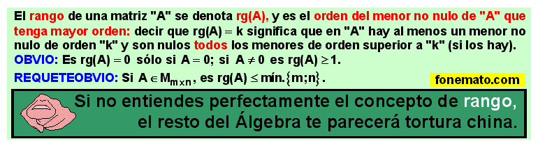 23 Rango de una matriz (Concepto fundamental)