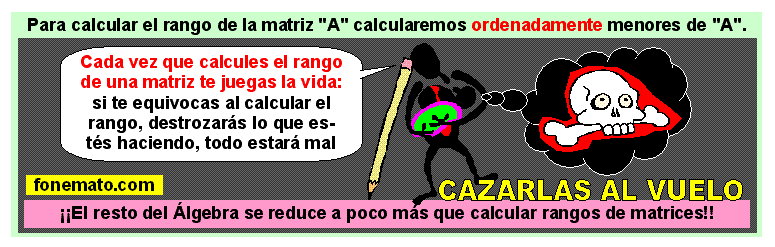 25 Cálculo del rango (Peligro de muerte)