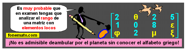 26 Rango de una matriz con elementos locos (Seguro en examen)