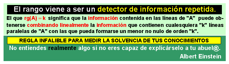 27 Significado del rango de una matriz